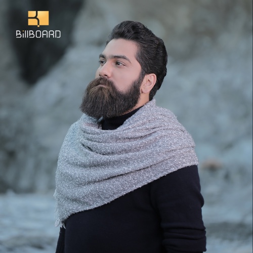 کنسرت علی زندوکیلی